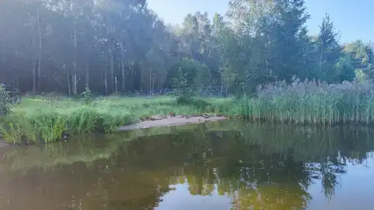 Волна - 3