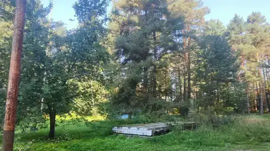 Волна - 84