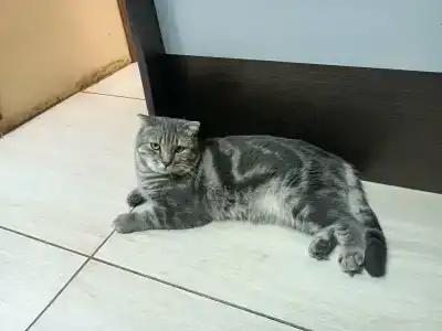 Челюскина - 7