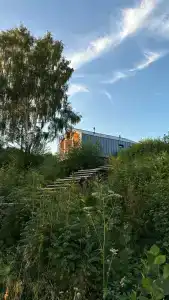 Лунный свет - 78