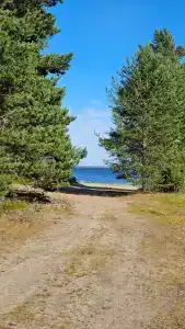 Белый кит - 40