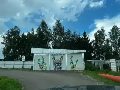 Российские альпаки - 9