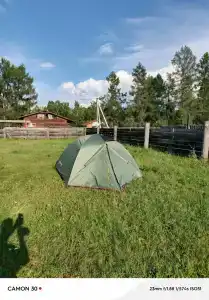 Братья Боровиковы - 1