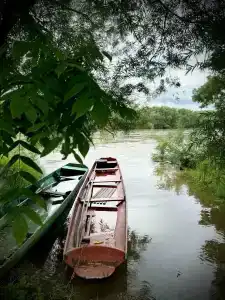 Заимка Узалы - 38