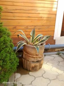 Морская дача Арабеска - 53