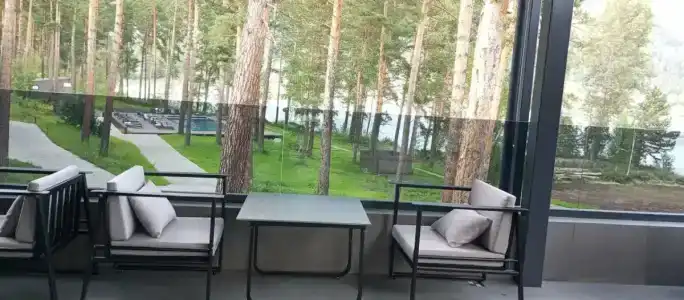 Пихта - 6