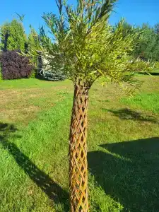 Нотебург - 34