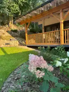 Глэмпинг-Ёlки - 1