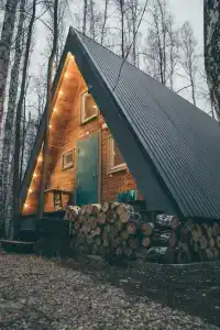 Forest story - 0