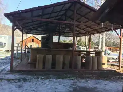 Кедр - 25