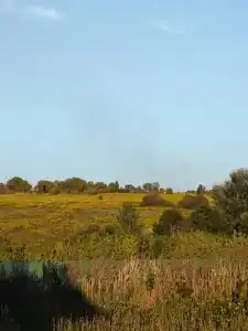Тишь - 23