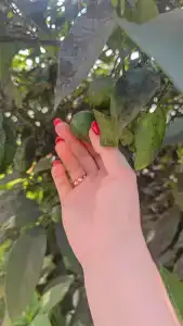 Усадьба Пантелея - 40