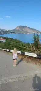 Ягуар - 33