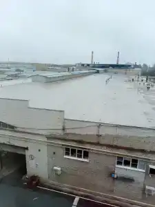 Баринова Роща - 54