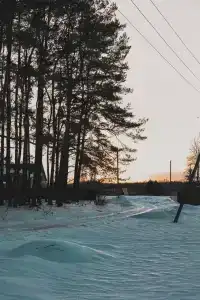 Родные просторы - 85