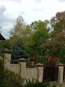 Дубрава - 28