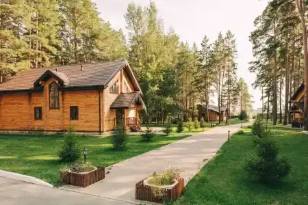 Тайга - 1