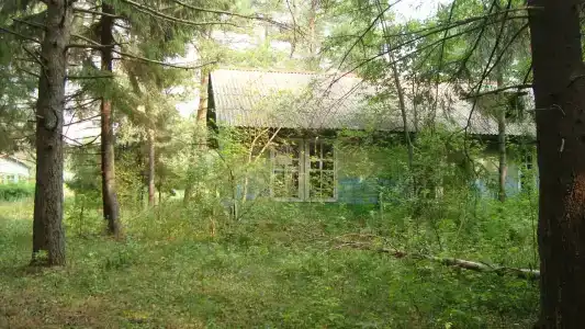 Ласточка - 13