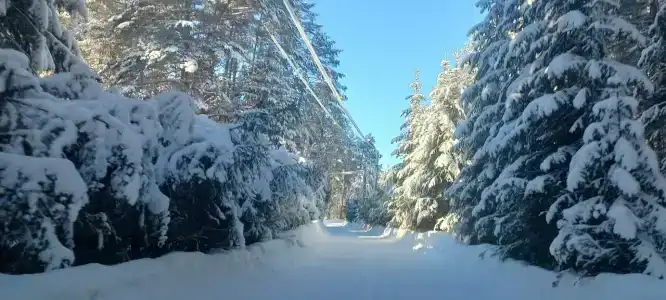 Домики на Волге - 6