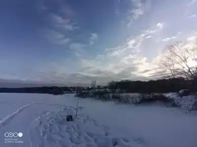 Березовая роща - 72