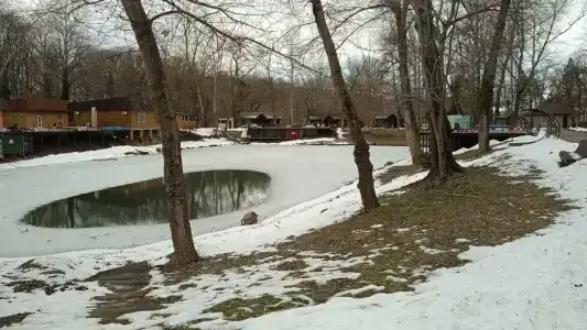 Комарово клуб - 82