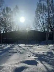 Волжанка - 17