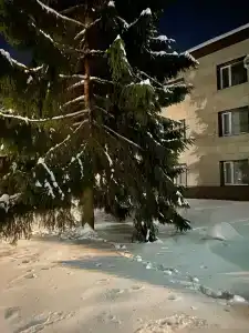 Русичи МВД России - 10