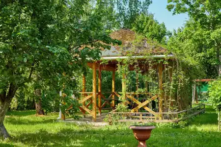 Шаробыки гостиничный комплекс - 21