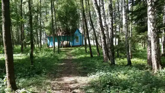 Волна - 65