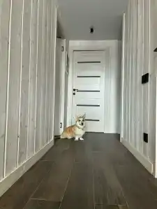 Лунный свет - 49