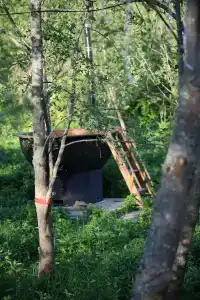 Барские поля - 82