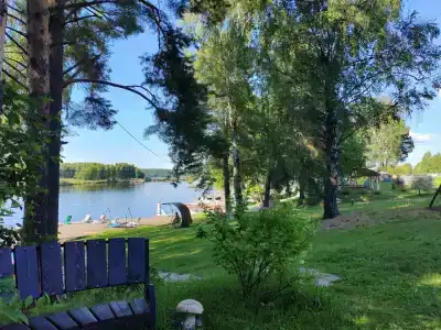 Зелёная роща - 25