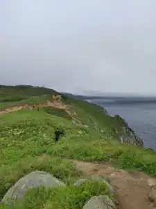 Морской бриз в Шепалово - 50