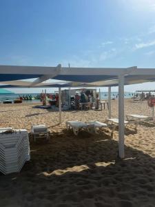 Горгиппия - 41