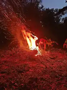 Сытый Кот - 29