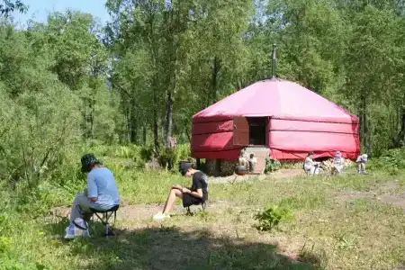 Снегири - 4