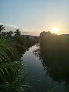 Side Royal Palace - 47