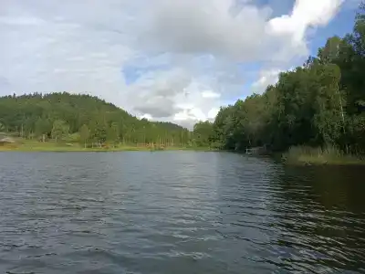 Карельские Лага - 75