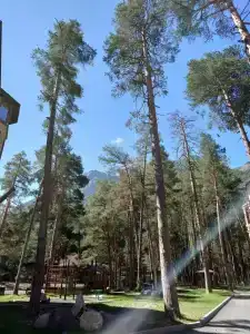 ЛисичкинHouse - 23