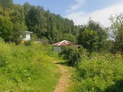Земляничная - 17
