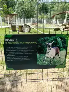 Цица - 27