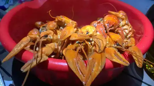 Чардым-Дубрава - 59