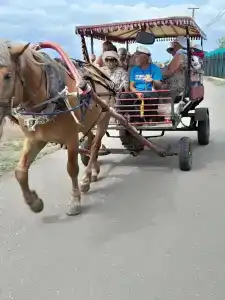 Вблизи соленых озер по ул. Пчельник - 32