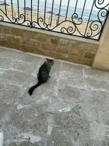 Sanitas Resort&SPA - 82