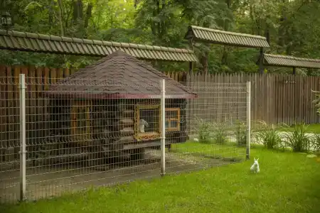 Сосновый Бор - 20