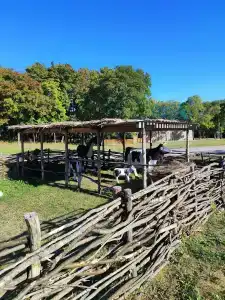 Хвалынский - 89