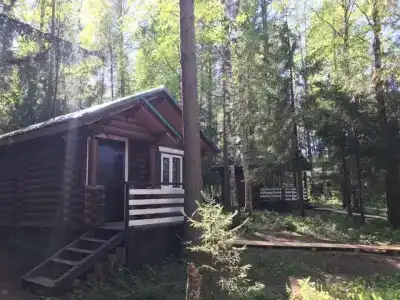 Лесной Дом - 1