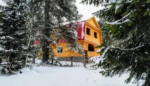 Шишкин лес - 0