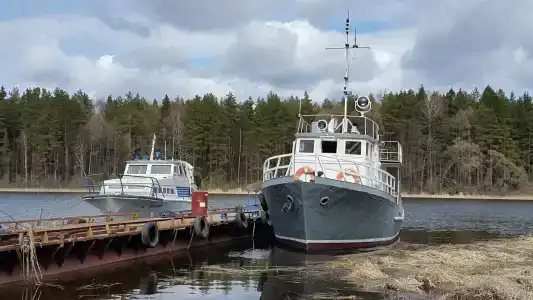 Пихтовая Аллея - 6