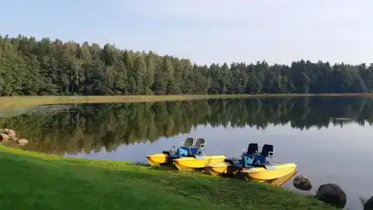 Серебряный родник - 14